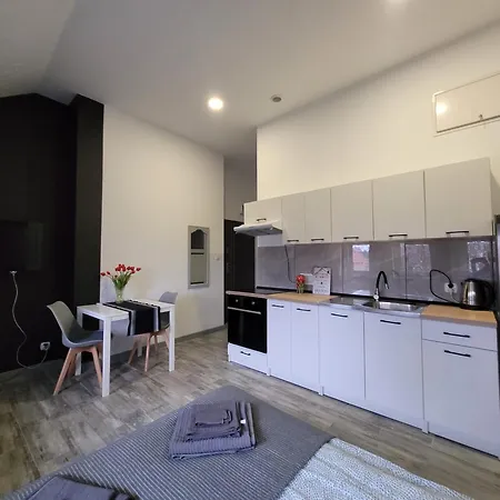Apartament Centrum W Parku Przy Katedrze Nr 9 Kwidzyn Exterior photo