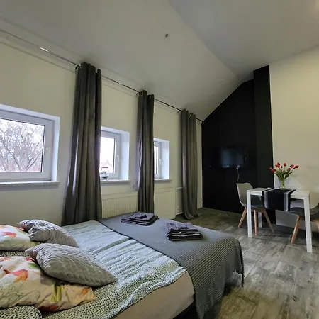 Apartament Centrum W Parku Przy Katedrze Nr 9 Kwidzyn Exterior photo