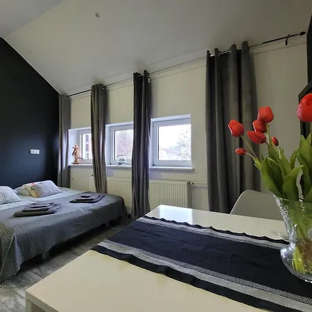 Apartament Centrum W Parku Przy Katedrze Nr 9 Kwidzyn Exterior photo